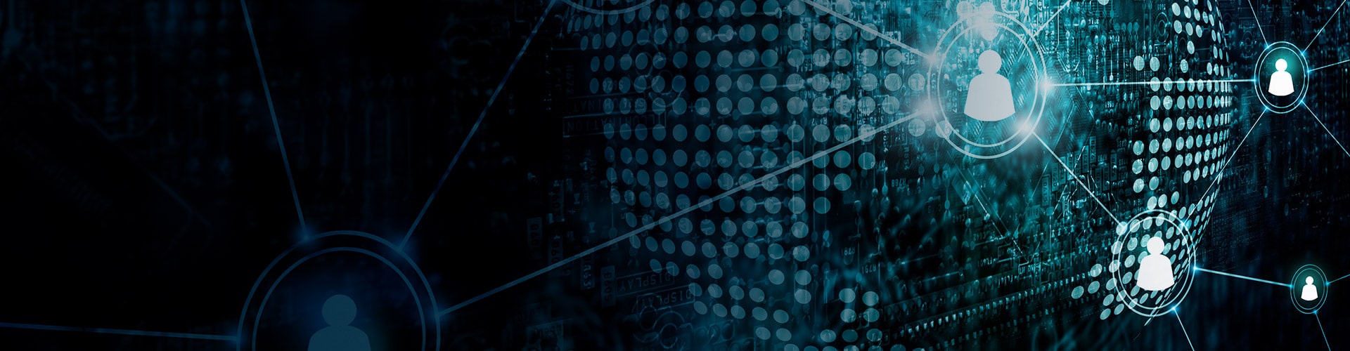 Team-and-Organizational-Performance banner image